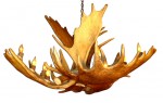 Real Antler Moose Single-Tier Chandelier MooseSnglTr