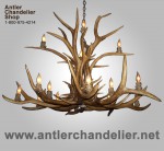 Real Antler Two-Tier Elk Chandelier ELKINVT-2