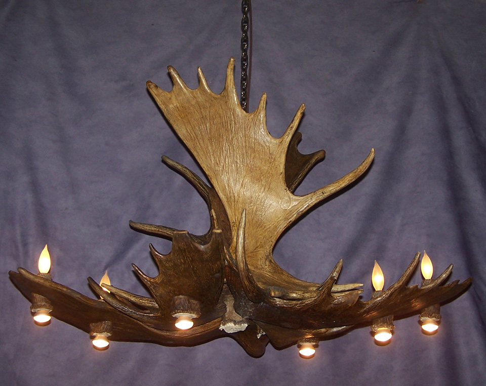 antler