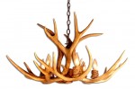 Reproduction Mule Deer Antler Chandelier CRS-5