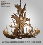 Real Antler Fallow / Mule Deer Chandelier FALMDCASC