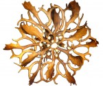 Fallow / Mule Deer Chandelier FallowMdEur
