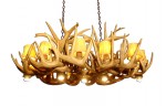 Real Antler Dining / Pool Table White-tail Chandelier ARIZWT