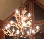 Second Place: Alex Crosbie, St. John's, NL