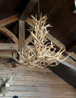 Brad Wilinski, Green Bay, WI