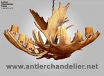 Real Antler Moose Single-Tier Chandelier MooseSnglTr
