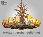 Real Antler Wyoming White-tail Chandelier WTRCRWN