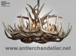 Real Antler XL White-tail Oval Chandelier WTXLOval