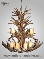 Reproduction White-tail / Mule Deer Combo Chandelier CRL-8