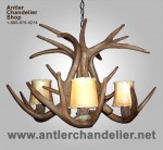 Reproduction White-Tail Antler Chandelier CRS-17