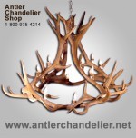 Real Antler Elk Royal Crown Chandelier ELKCRWN-3