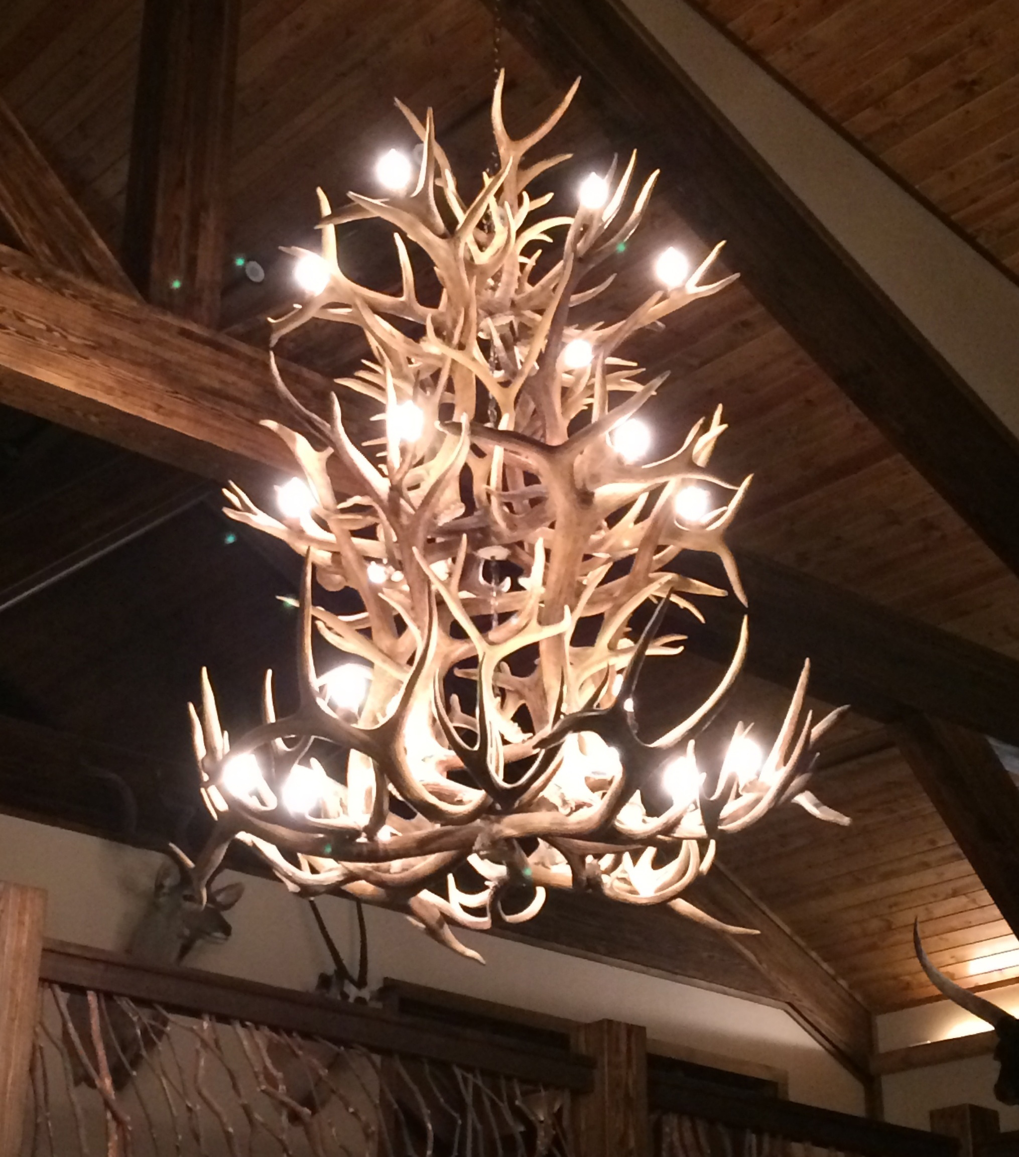EFFORTINC Resin Antler Chandeliers 10 Light 41.7 Diameter X 19.3 Tall with 4 Feet Matching Chain Bulbs Not Included 