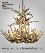 Real Antler White-tail Cascading Chandelier WTRC-2