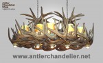 Reproduction Whitetail Chandelier with Optional Downlights CRL-28