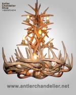 Reproduction White-Tail Tall Spruce Chandelier CRL-31