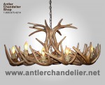 Reproduction White-tail Oval Chandelier CRS-4