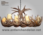 Reproduction White-tail Oval Chandelier CRS-4