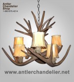 Reproduction White-tail / Mule Deer Chandelier CRS-9