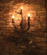 Real Fallow / Moose / White-tail Sconce