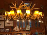 Reproduction Whitetail Chandelier with Optional Downlights CRL-28