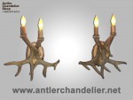 Real Antler Two Light White-Tail Sconce