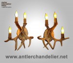 Real Antler Three Light White-Tail Sconce