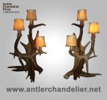 Real Fallow / Moose / White-tail Sconce