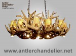 Real Antler Dining / Pool Table White-tail Chandelier ARIZWT