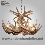Reproduction White-tail Antler Chandelier CRS-1